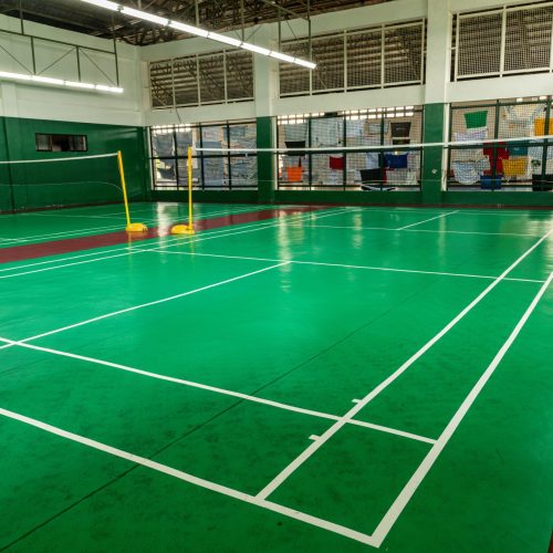 Badminton